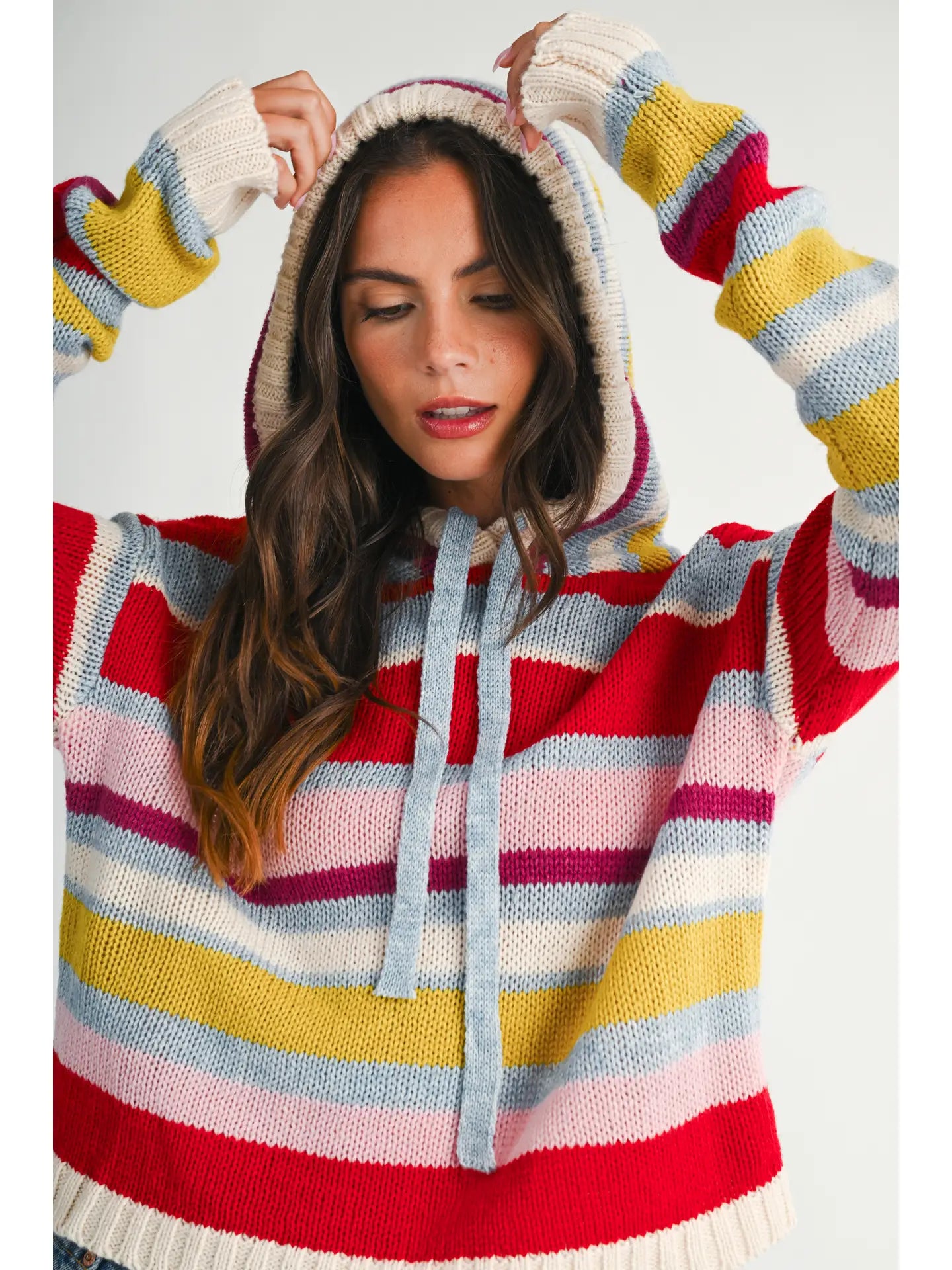 Multi Stripe Knit Hoodie Sweater