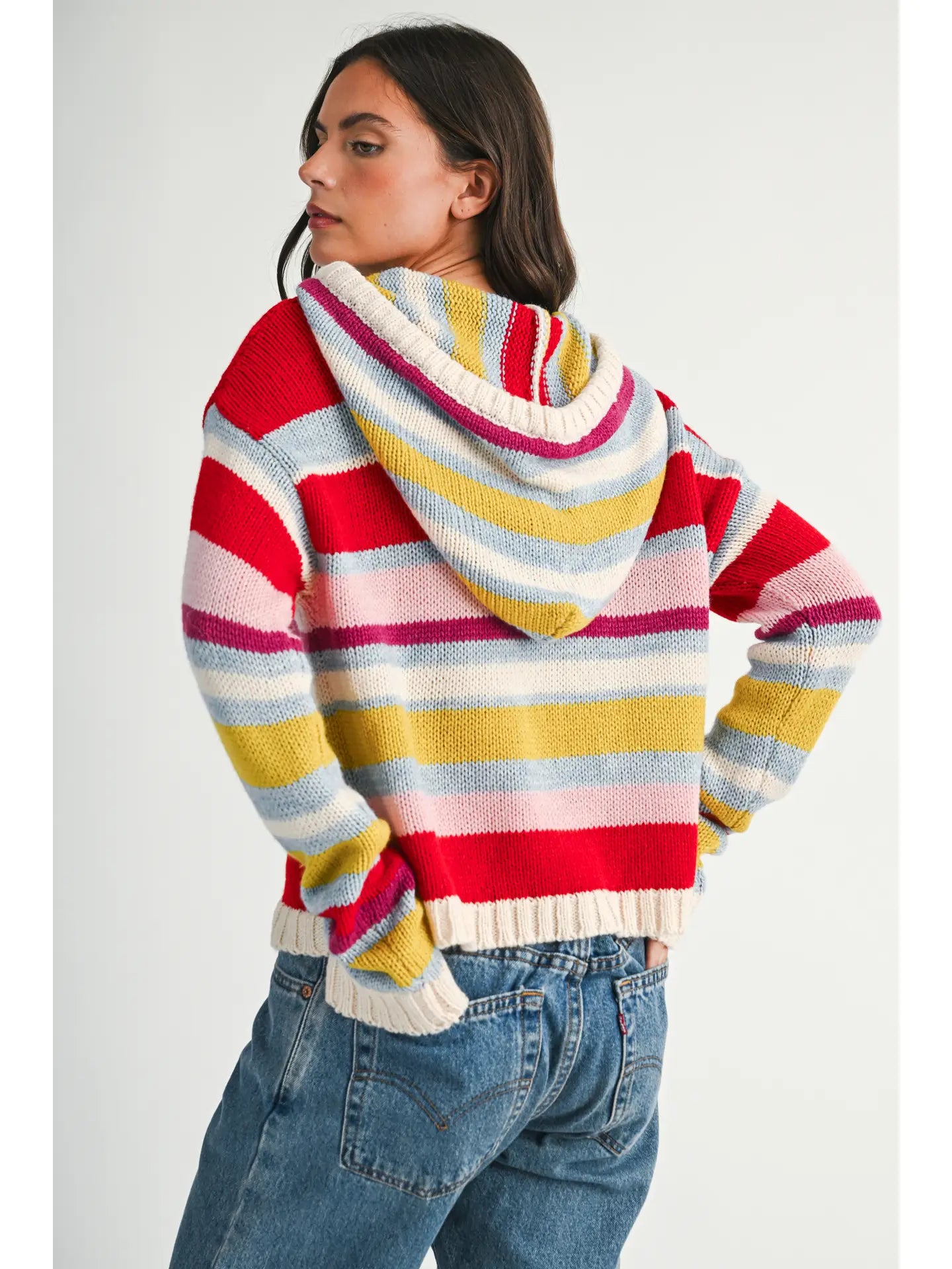 Multi Stripe Knit Hoodie Sweater