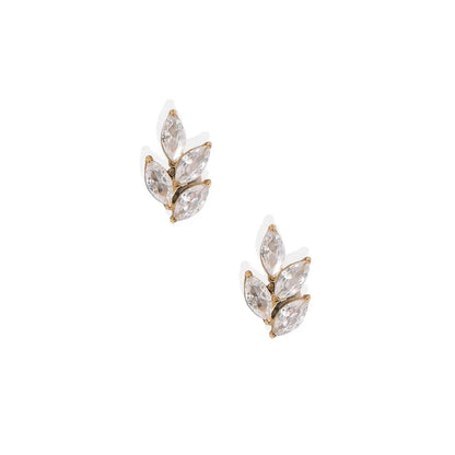 Laurel Gold | Screwback Stud Earrings