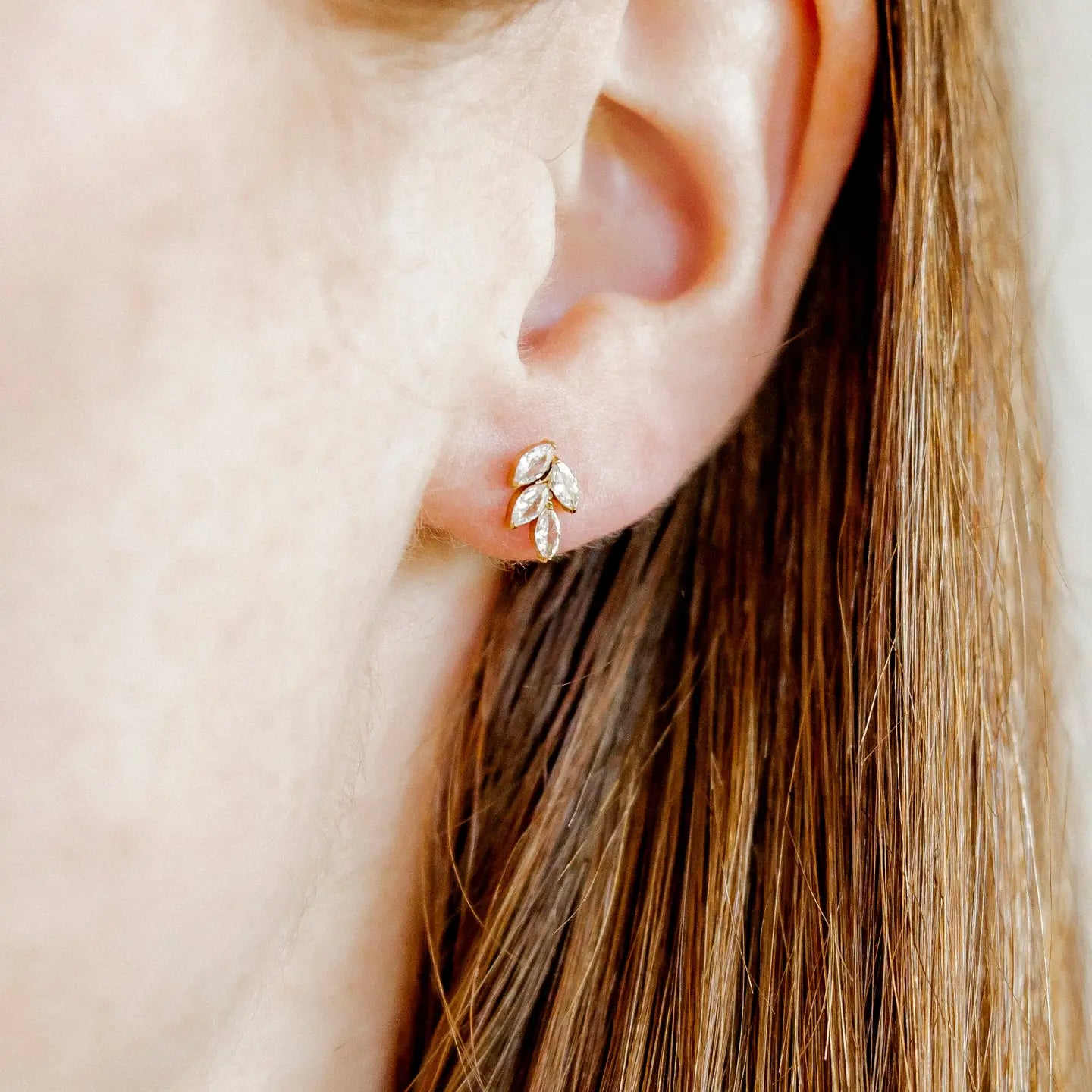 Laurel Gold | Screwback Stud Earrings