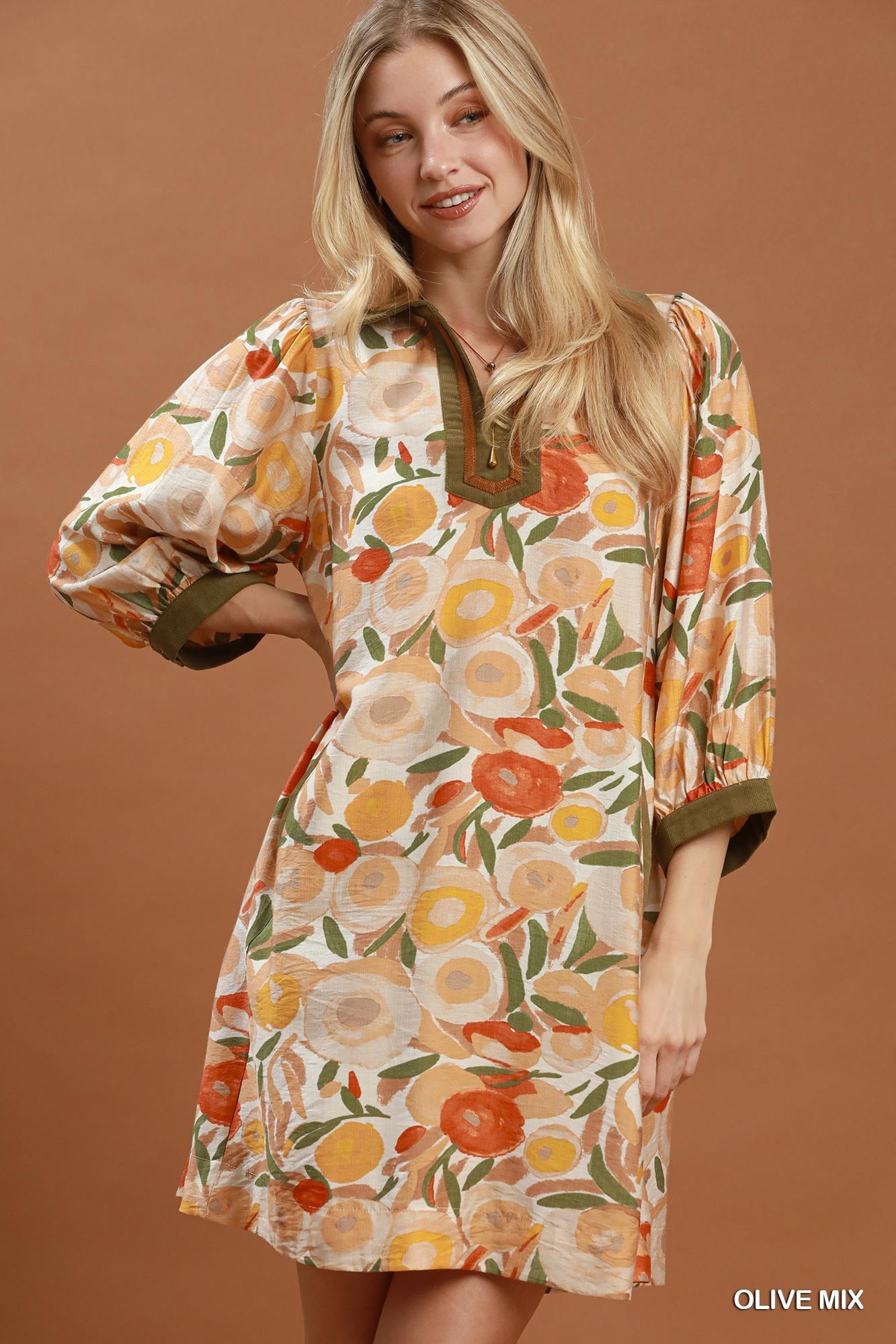 Collared Puff Sleeve Mixed Media Print Dress