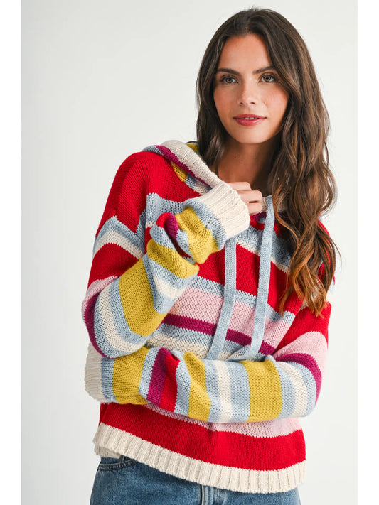 Multi Stripe Knit Hoodie Sweater