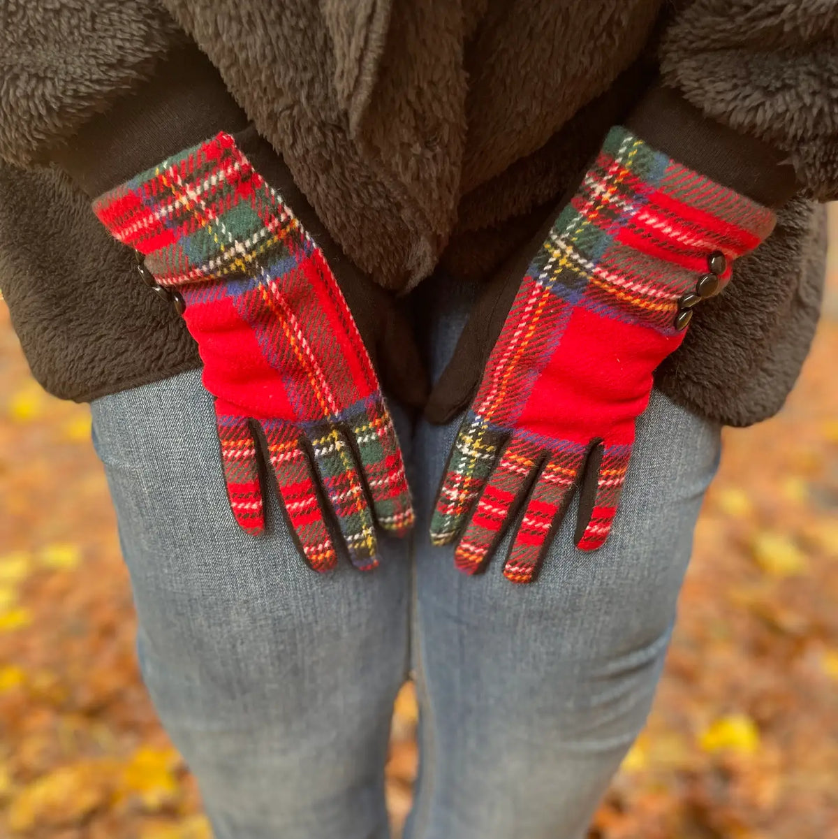 Charlie Tartan Plaid Gloves 