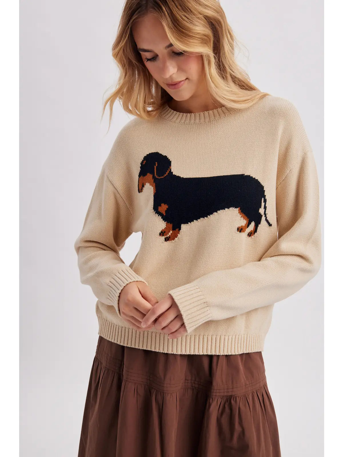 Dachshund Dog Graphic Knit Sweater